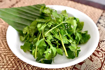 パクチー｜トゥントーン タイ料理レストラン 柏店